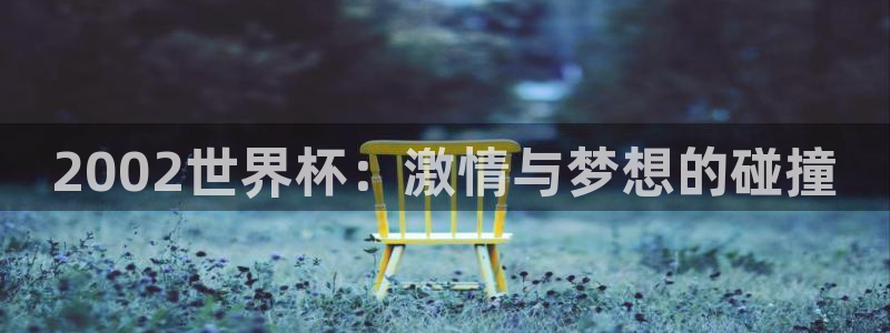 世界杯预选赛亚洲：2002世界杯：激情与梦想的碰撞