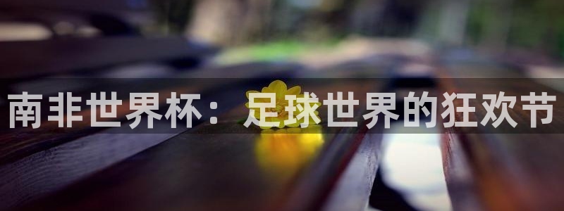 看世界杯：南非世界杯：足球世界的狂欢节