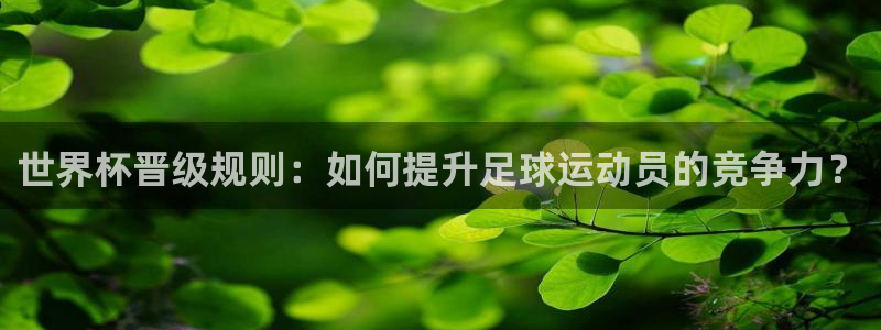 2026世界杯赛：世界杯晋级规则：如何提升足球运动员的竞争力？