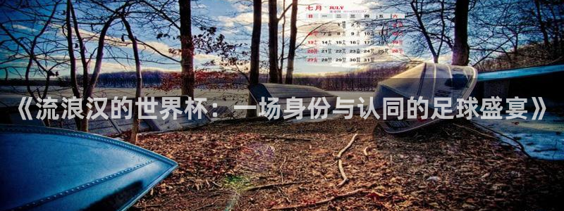 足球世界杯时间：《流浪汉的世界杯：一场身份与认同的足球盛宴》