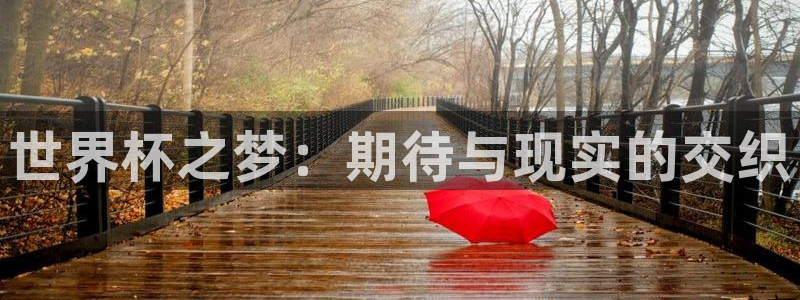 世预赛欧洲赛程表：世界杯之梦：期待与现实的交织