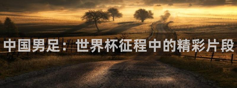 欧联杯直播：中国男足：世界杯征程中的精彩片段