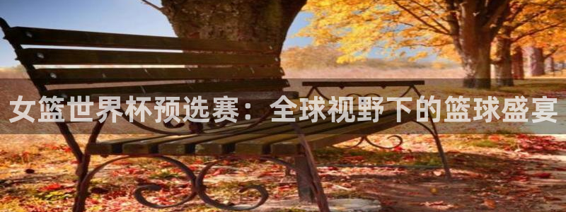 世界杯足球：女篮世界杯预选赛：全球视野下的篮球盛宴