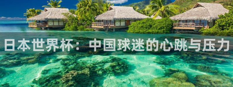看世界杯：日本世界杯：中国球迷的心跳与压力