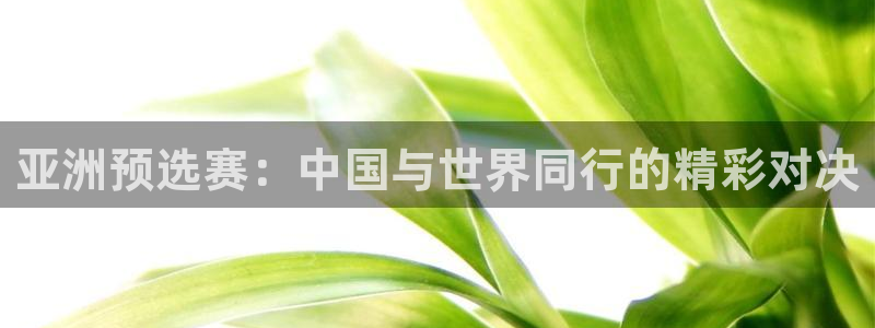 世界杯预选赛亚洲区积分榜：亚洲预选赛：中国与世界同行的精彩对决