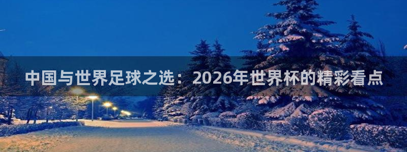 2026年世界杯赛程表时间：中国与世界足球之选：2026年世界杯的精彩看点