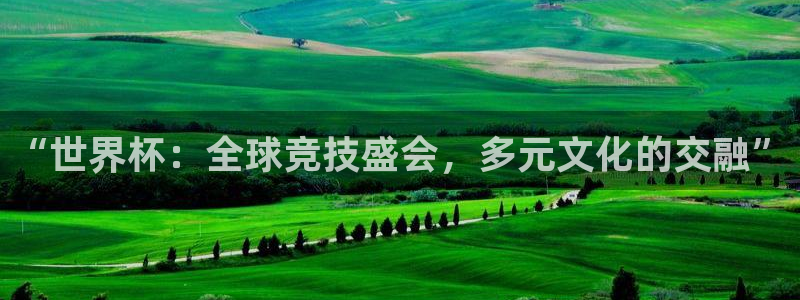 国际足联世界杯：“世界杯：全球竞技盛会，多元文化的交融”