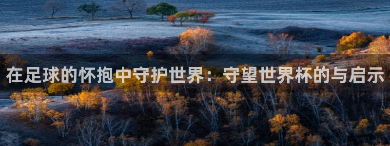 世界杯视频：在足球的怀抱中守护世界：守望世界杯的与启示