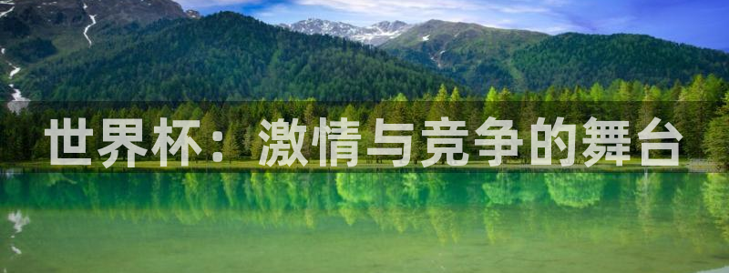 世界杯足球赛2026：世界杯：激情与竞争的舞台
