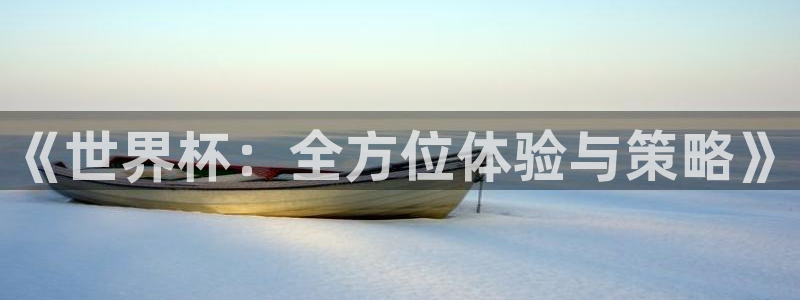 足球世界杯预选赛：《世界杯：全方位体验与策略》