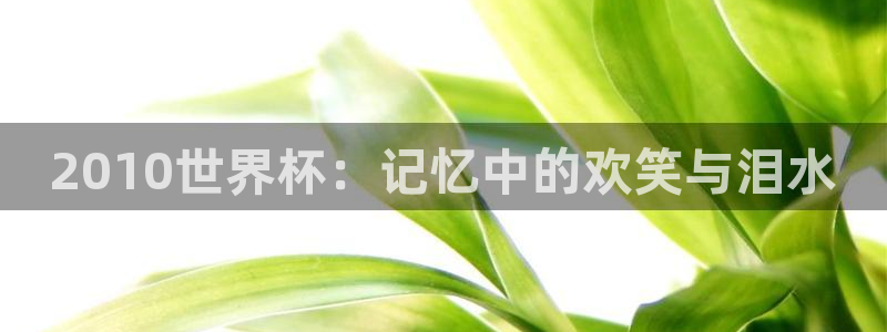 世界杯直播网站：2010世界杯：记忆中的欢笑与泪水