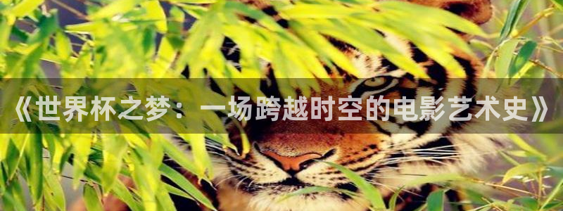 世界杯预选赛亚洲区积分榜：《世界杯之梦：一场跨越时空的电影艺术史》