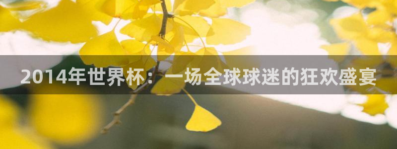 2026世界杯亚洲预选赛：2014年世界杯：一场全球球迷的狂欢盛宴