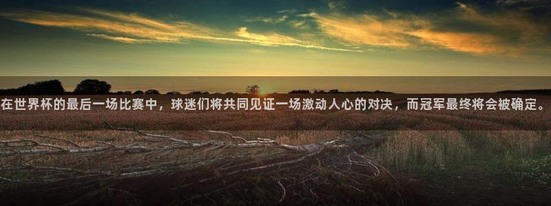 世界杯葡萄牙赛程：在世界杯的最后一场比赛中，球迷们将共同见证一场激动人心的对决，而冠军最终将会被确定。