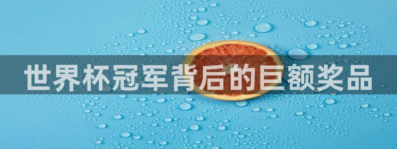 女足世界杯直播在线观看免费高清：世界杯冠军背后的巨额奖品